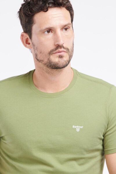 MTS0331OL39 CARRYOVER detaila model 1