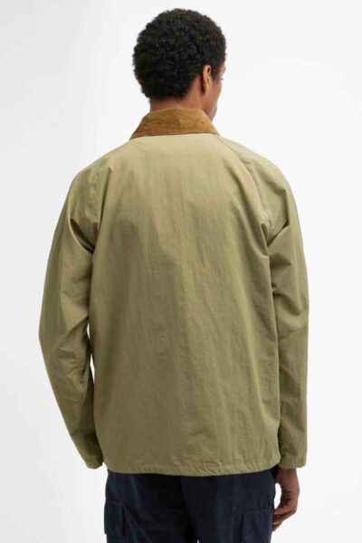 MSP0173OL11 04back