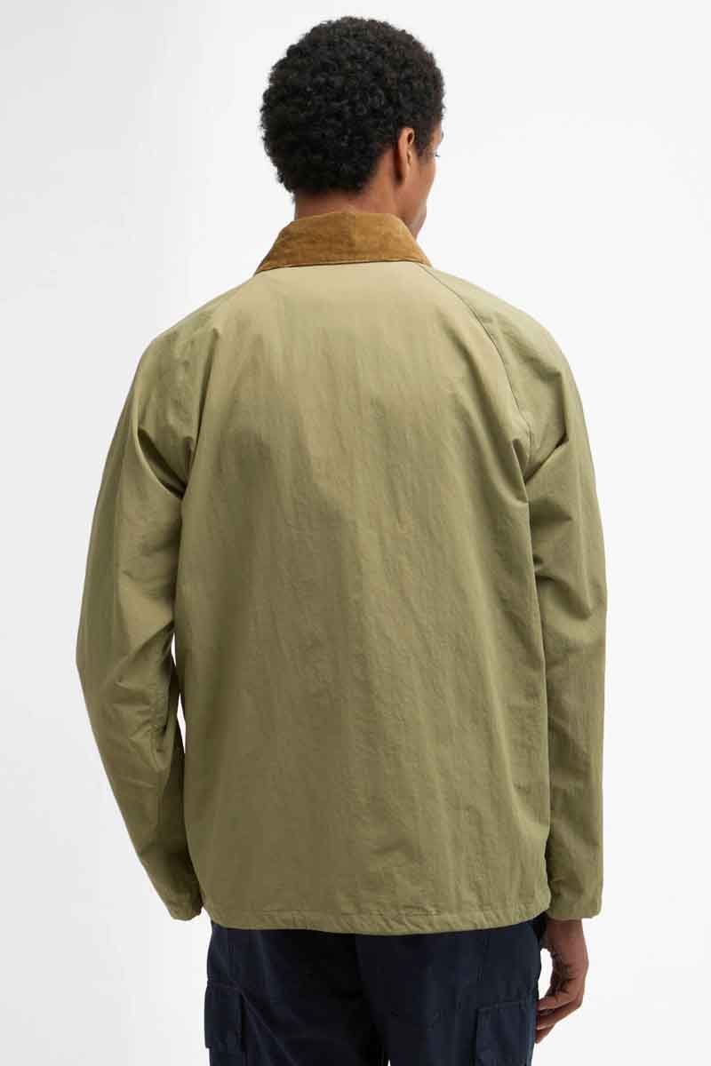 MSP0173OL11_04back MSP0173OL11 04back